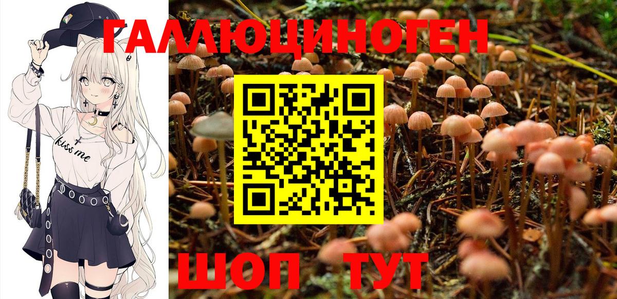 Псилоцибиновые грибы Psilocybine cubensis  Вход с VPN  Псков 