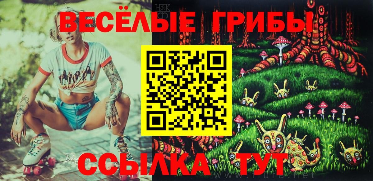 Псилоцибиновые грибы прущие грибы Псков